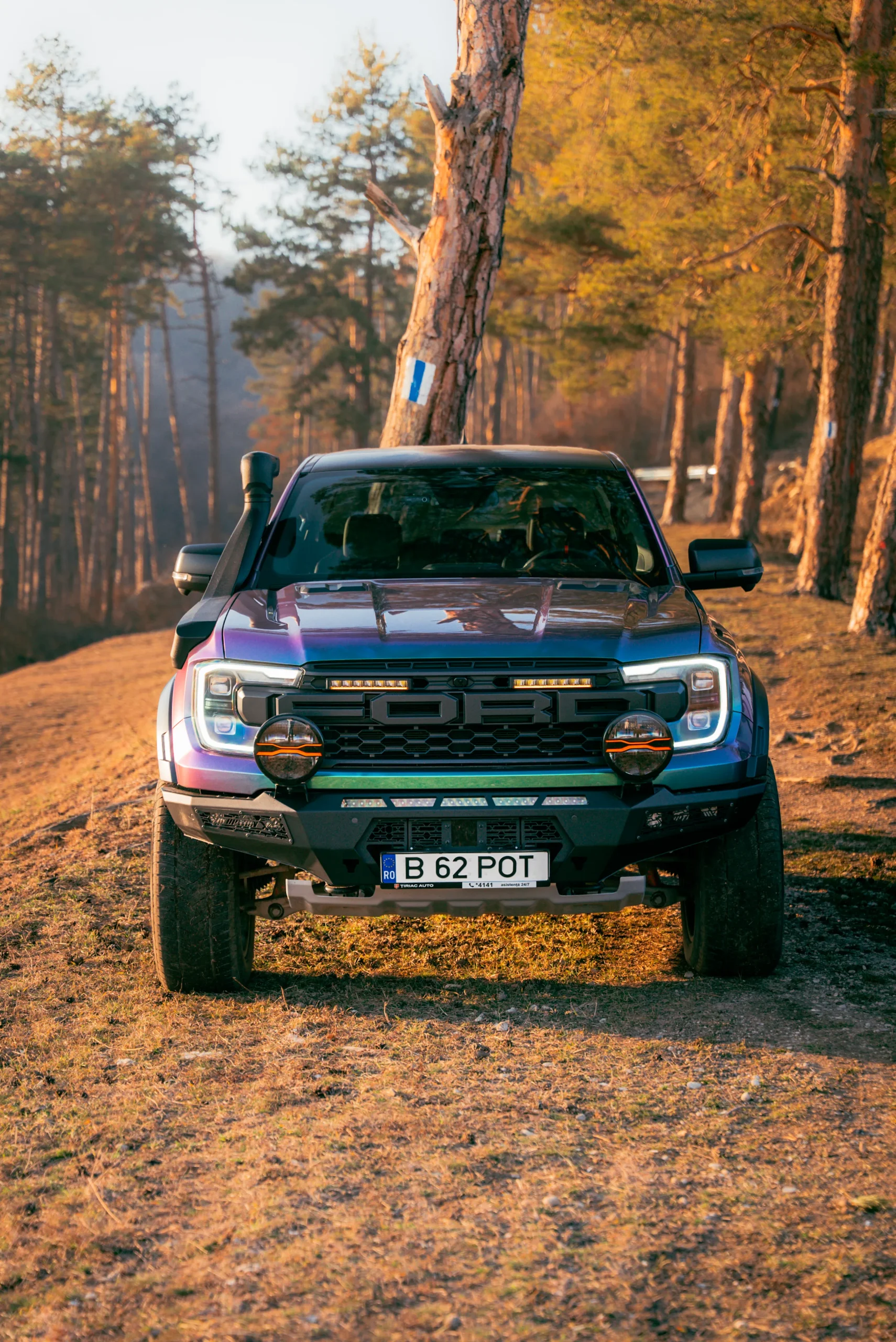 Gloss Aurora Borealis(P-GN-01)